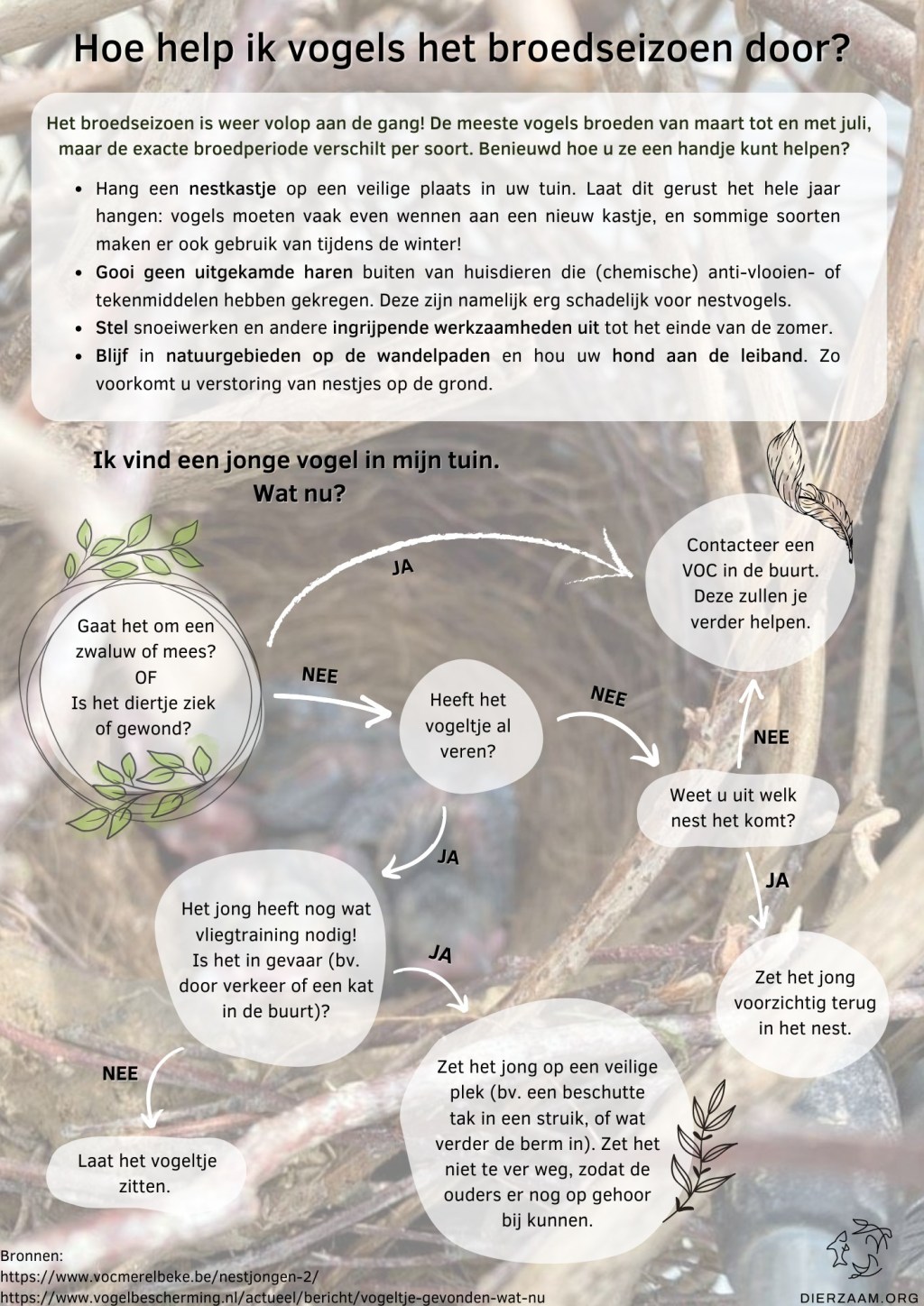 Hoe help ik vogels het broedseizoen&nbsp;door?