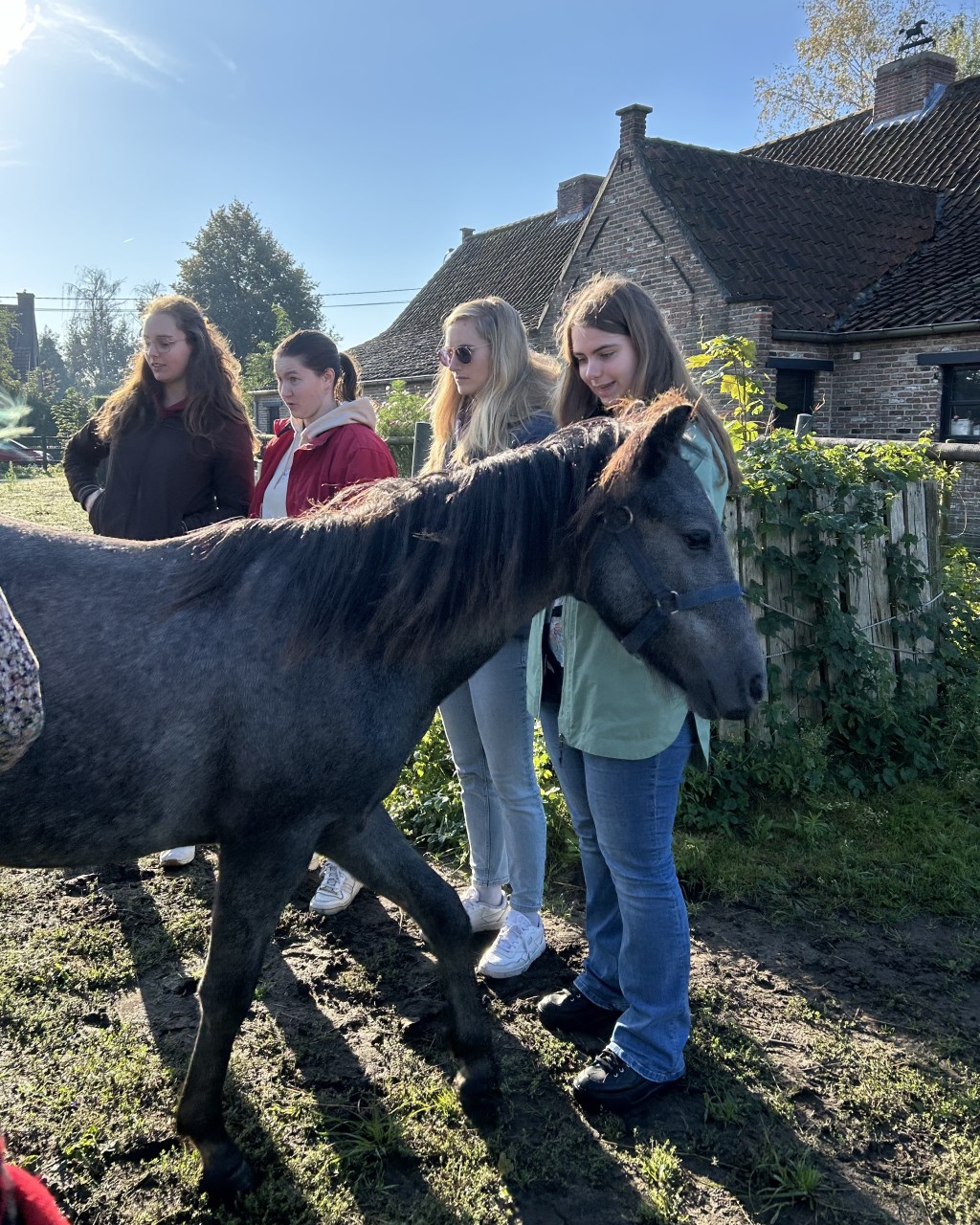 Terugblik naar onze vorige&nbsp;events